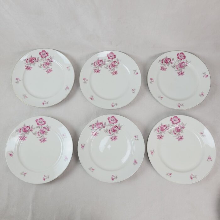 6 Platos Bavaria Johann Seltmann Vohenstrauß