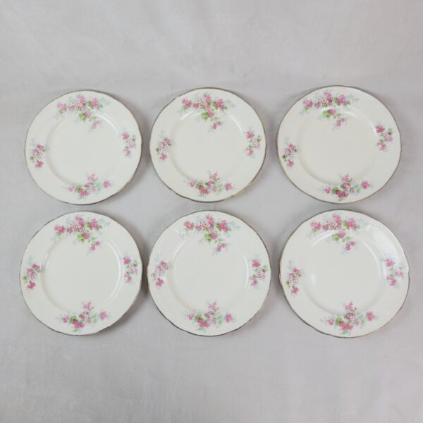 6 Platos Ingleses Alfred Meakin con Flores Rosadas